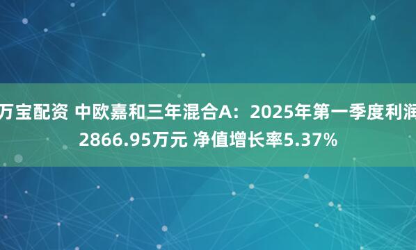 万宝配资 中欧嘉和三年混合A：2025年第一季度利润2866.95万元 净值增长率5.37%