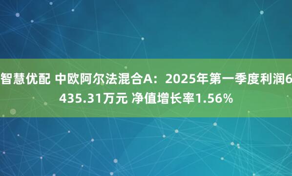 智慧优配 中欧阿尔法混合A：2025年第一季度利润6435.31万元 净值增长率1.56%