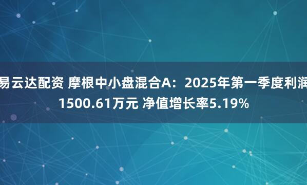 易云达配资 摩根中小盘混合A：2025年第一季度利润1500.61万元 净值增长率5.19%