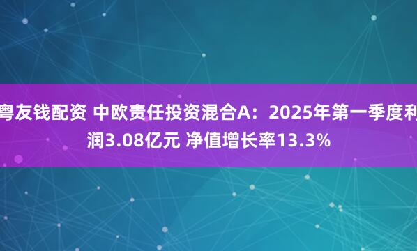 粤友钱配资 中欧责任投资混合A：2025年第一季度利润3.08亿元 净值增长率13.3%