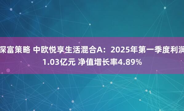 深富策略 中欧悦享生活混合A：2025年第一季度利润1.03亿元 净值增长率4.89%