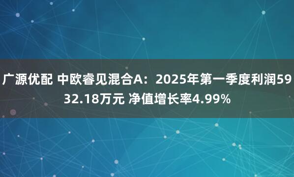 广源优配 中欧睿见混合A：2025年第一季度利润5932.18万元 净值增长率4.99%