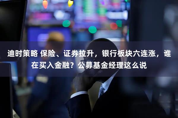 迪时策略 保险、证券拉升，银行板块六连涨，谁在买入金融？公募基金经理这么说