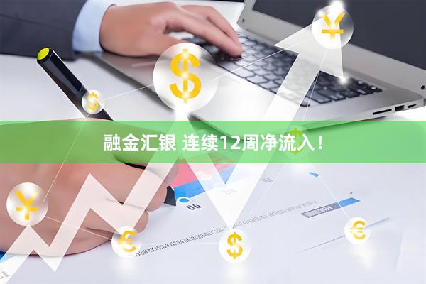 融金汇银 连续12周净流入！