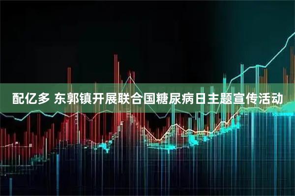 配亿多 东郭镇开展联合国糖尿病日主题宣传活动