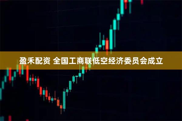 盈禾配资 全国工商联低空经济委员会成立