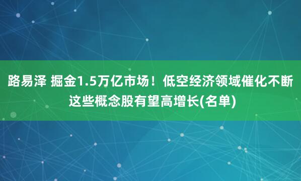 路易泽 掘金1.5万亿市场！低空经济领域催化不断 这些概念股有望高增长(名单)