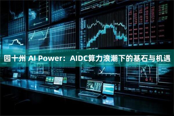 园十州 AI Power：AIDC算力浪潮下的基石与机遇
