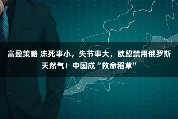 富盈策略 冻死事小，失节事大，欧盟禁用俄罗斯天然气！中国成“救命稻草”
