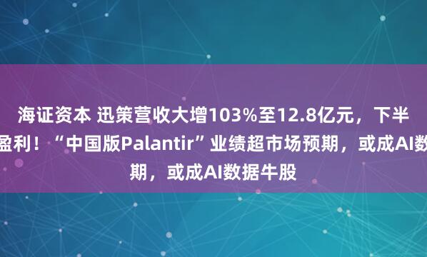 海证资本 迅策营收大增103%至12.8亿元，下半年成功盈利！“中国版Palantir”业绩超市场预期，或成AI数据牛股